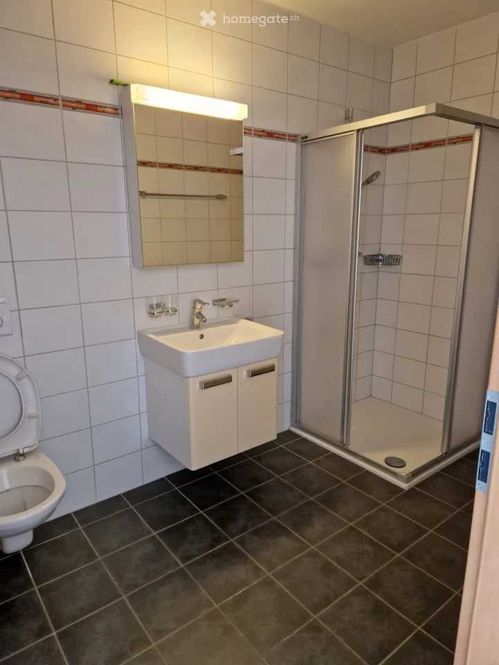 Zu vermieten schönes 5,5-Zimmer-Duplex-Apartment, 145 m²
