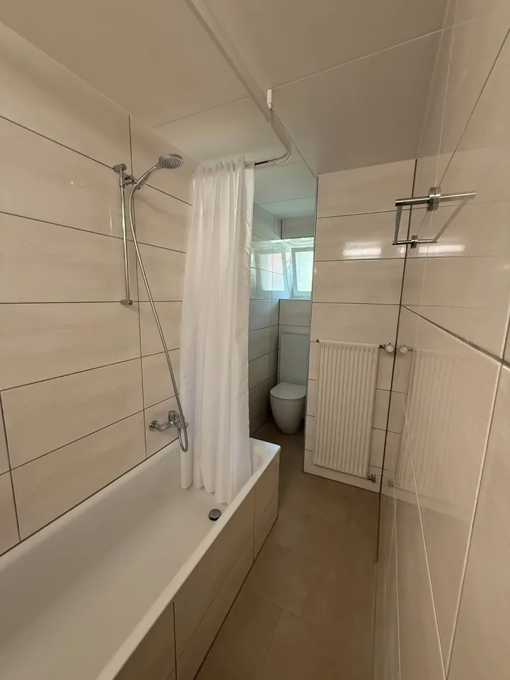 Charmantes 3-Zimmer-Wohnung komplett renoviert