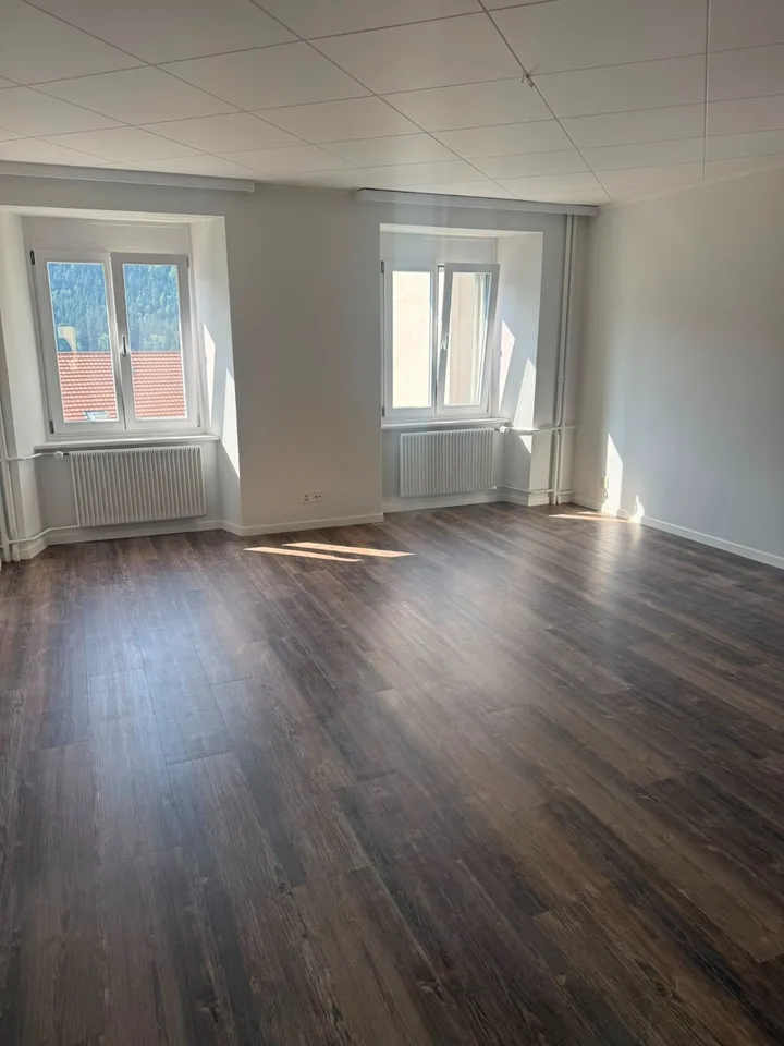 Charmantes 3-Zimmer-Wohnung komplett renoviert
