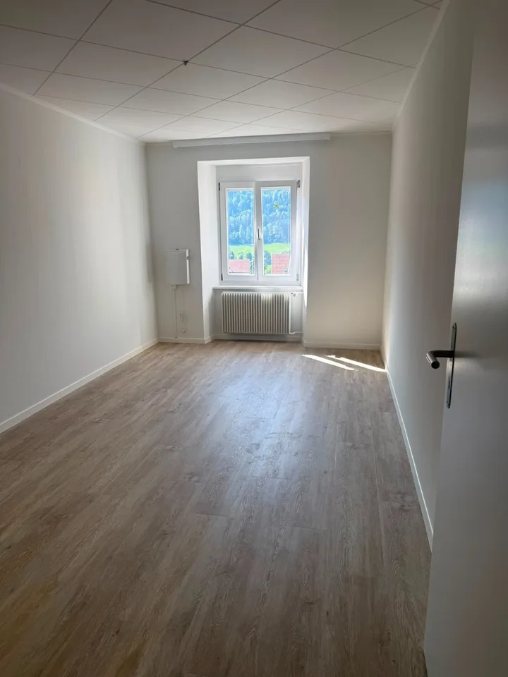Charmantes 3-Zimmer-Wohnung komplett renoviert