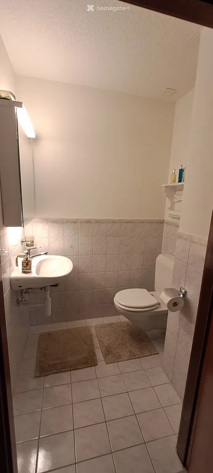 Gemütliche 3.5-Zimmer-Wohnung mit Terrasse in Hochfelden