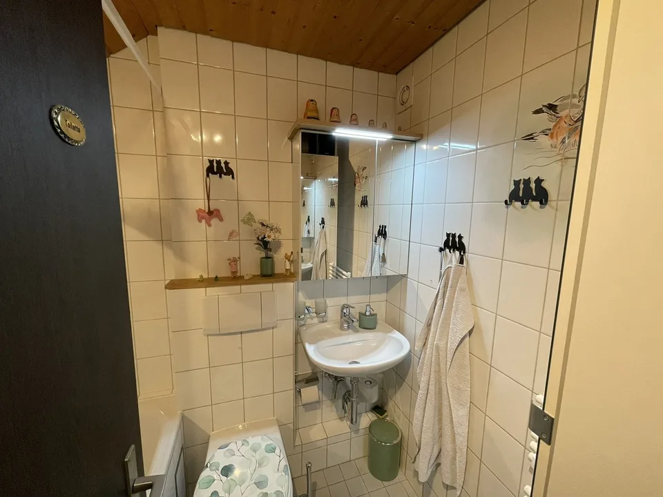 Bezaubernde Maisonette-Dachwohnung in Binningen