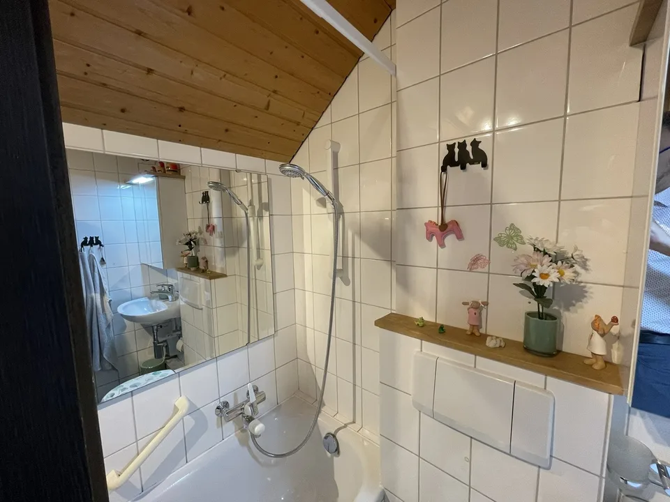 Bezaubernde Maisonette-Dachwohnung in Binningen