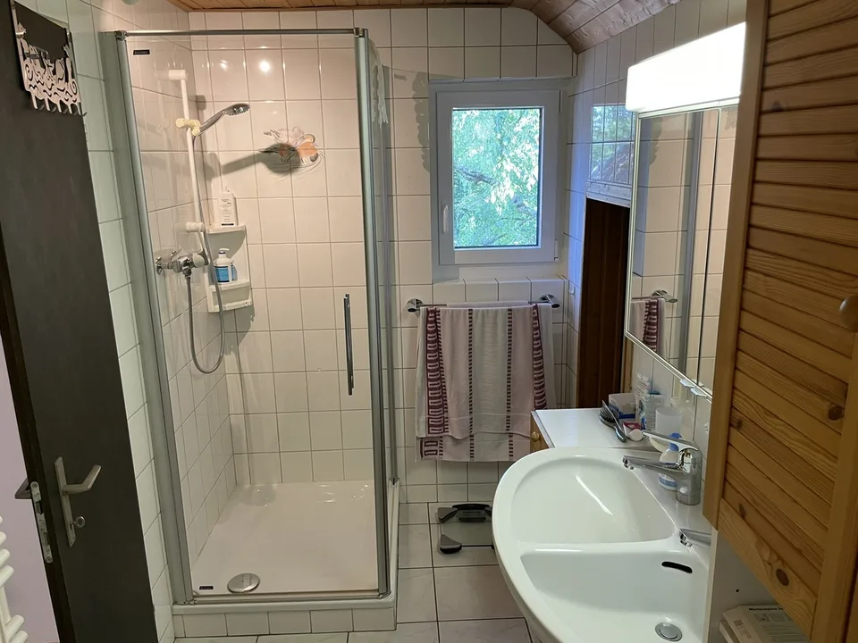 Bezaubernde Maisonette-Dachwohnung in Binningen