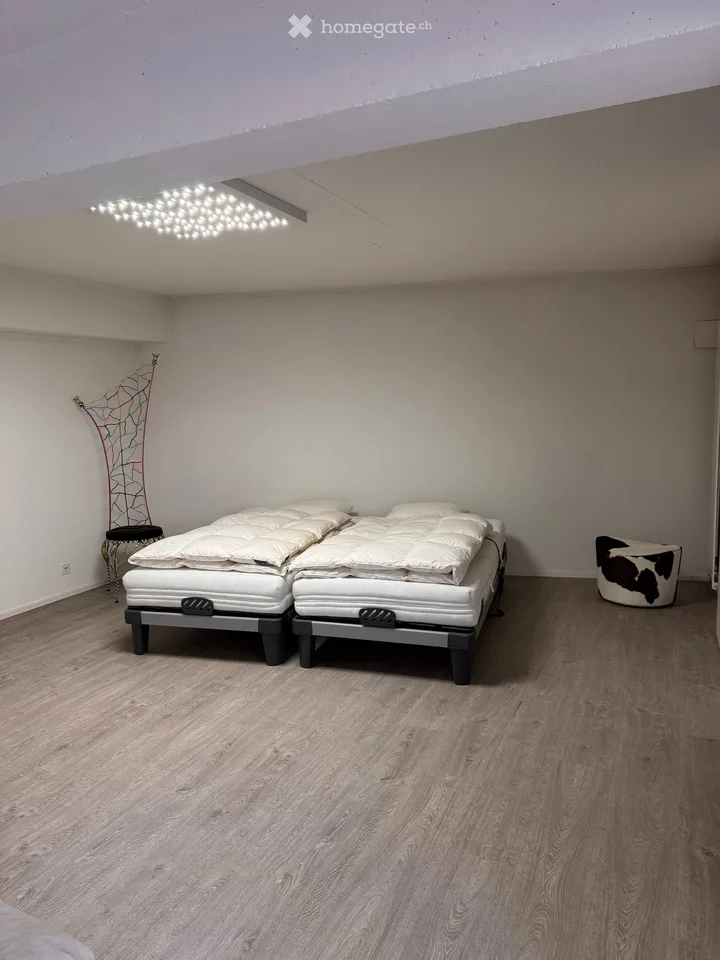 Modern loft apartment on the lower floor in Bottmingen – available immediately!