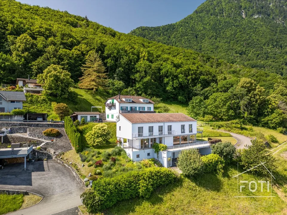 Villa dell'architetto 7,5 locali con vista sul Lago di Ginevra - St-Gingolph, ascensore – foto 5 di 30