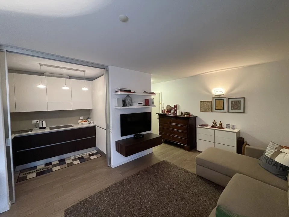 ELEGANTE ED AMPIO APPARTAMENTO 2.5 CON GRANDE POSTEGGIO