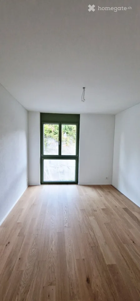 3.5 rooms, new building, first rental
