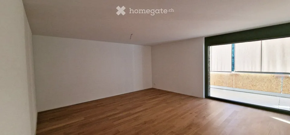 3.5 rooms, new building, first rental