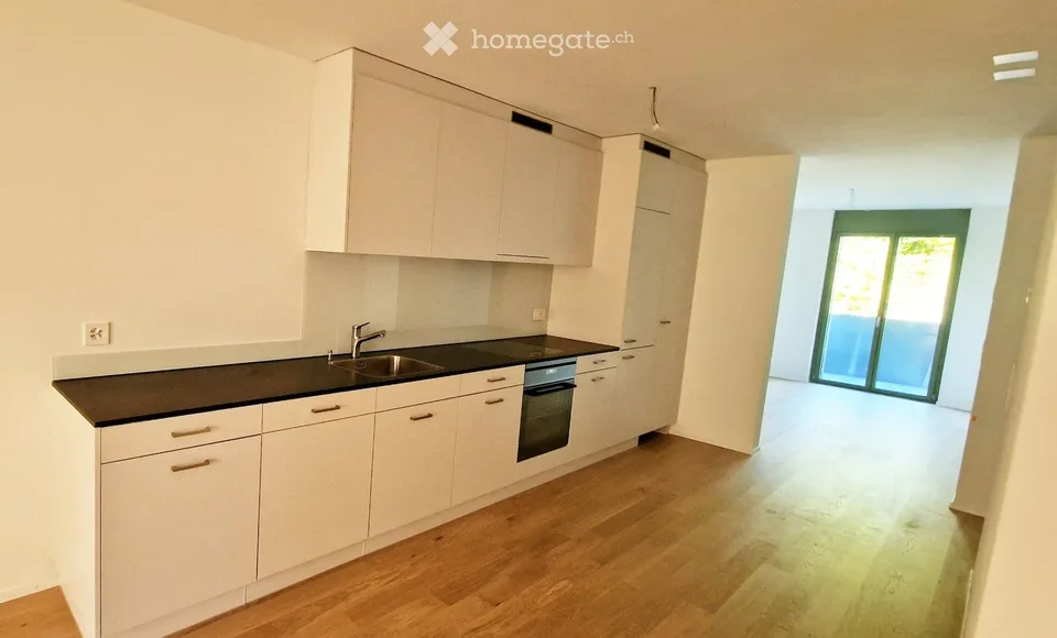 3.5 rooms, new building, first rental