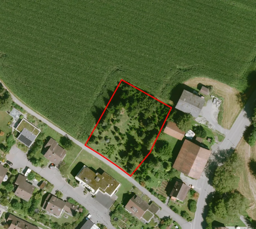 Nuova costruzione Grünblick Pfäffikon ZH - Casa 4