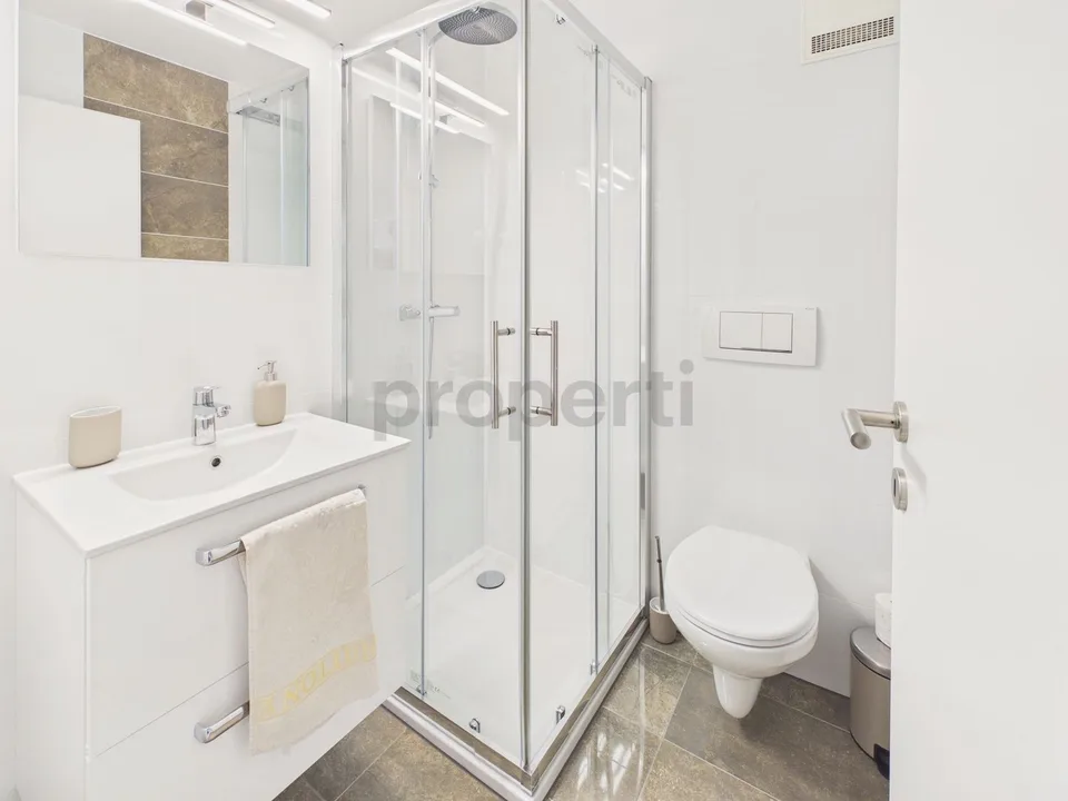 Spacious 4.5 rooms - apartment with balcony, Saxon