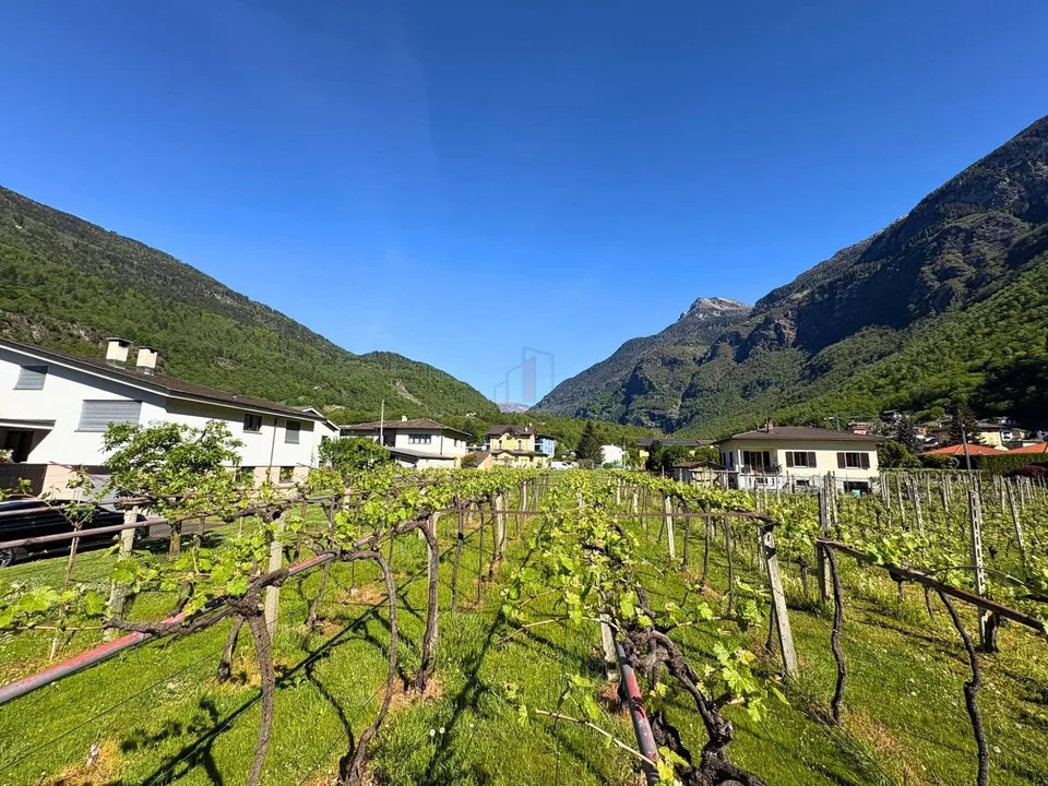 NELLA VALLE DEL SOLE, OPPORTUNITÃ PER INVESTIRE