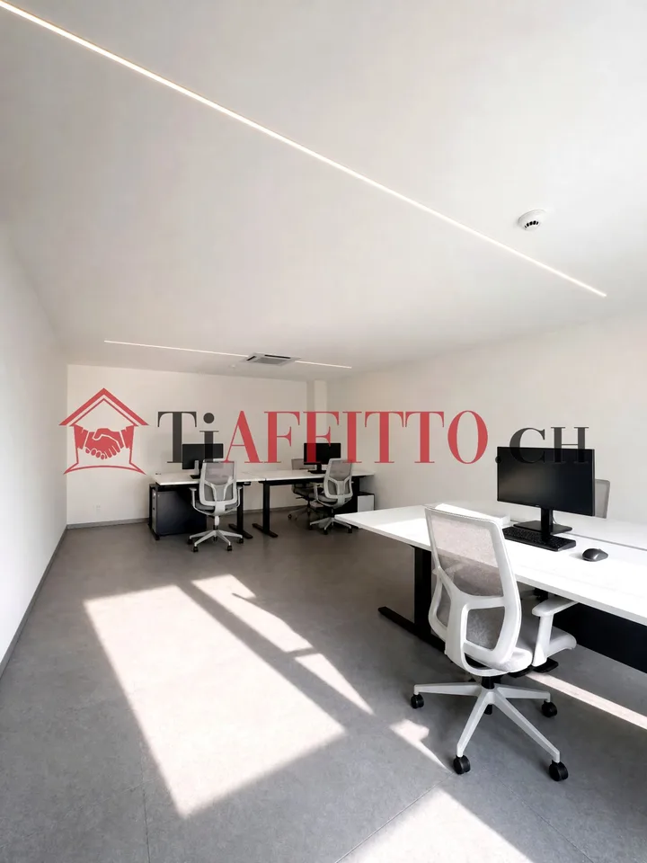 Einfach Büro in Castione
