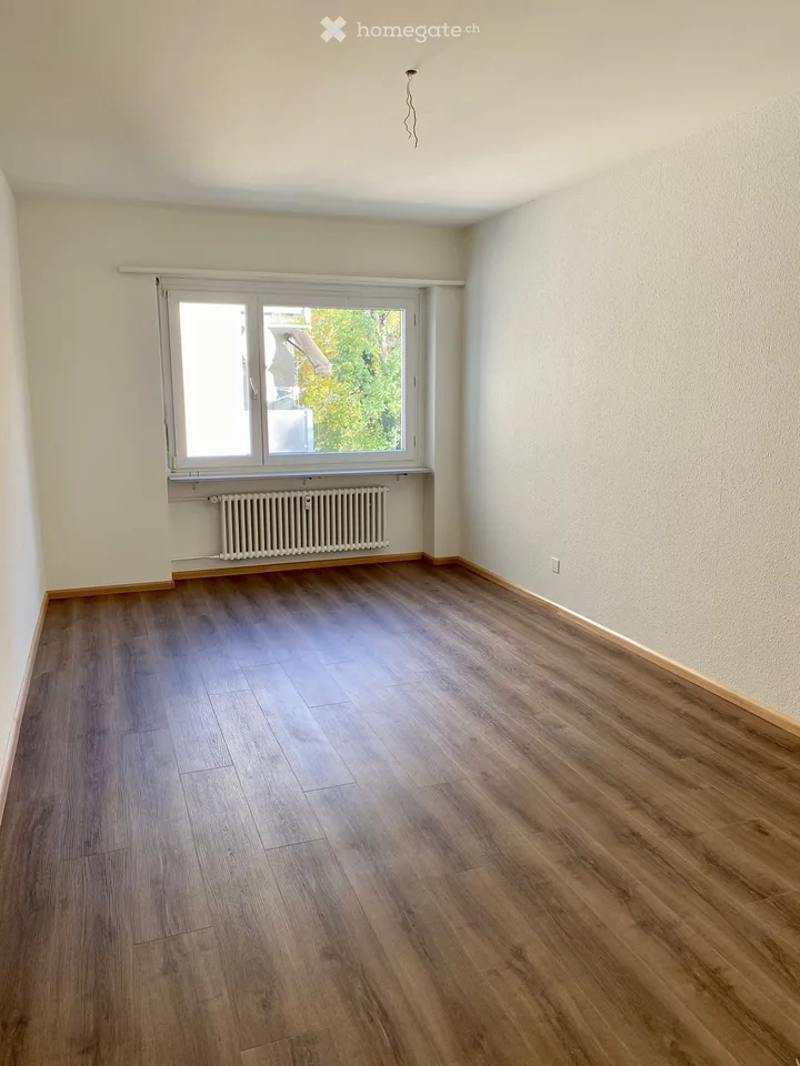 Appartamento mansardato di 2 camere con balcone a Basilea