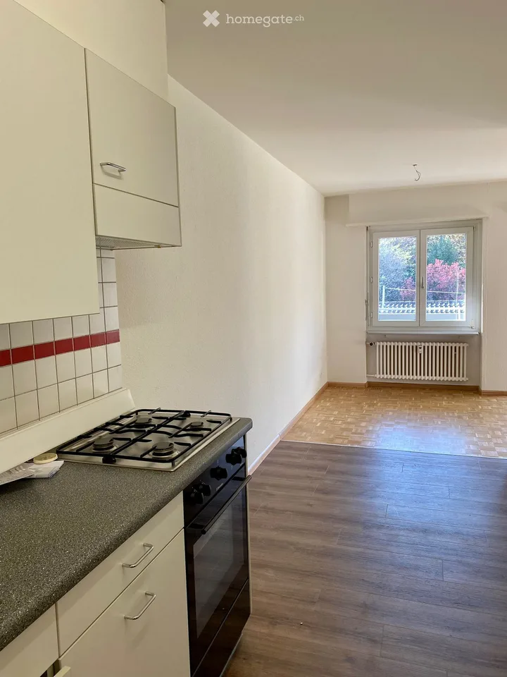 Appartamento mansardato di 2 camere con balcone a Basilea