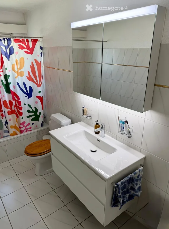 Sunny 3-room apartment with balcony and beautiful view in Baden