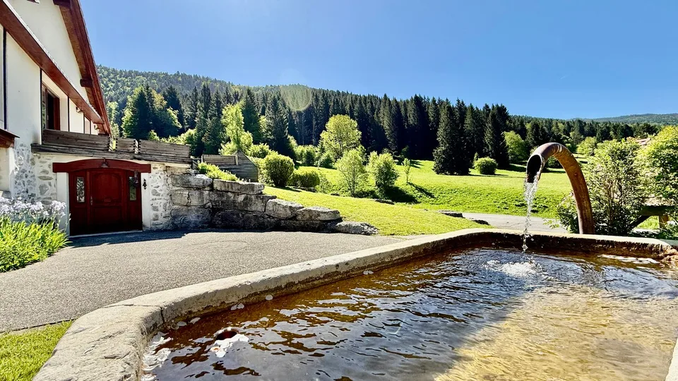 Maison de 303 m² sur 1300 m² à Mijoux