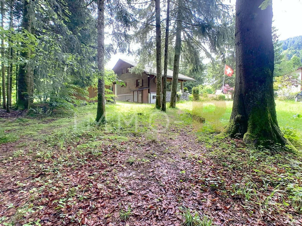 Schönes Einzelchalet in idyllischer Umgebung