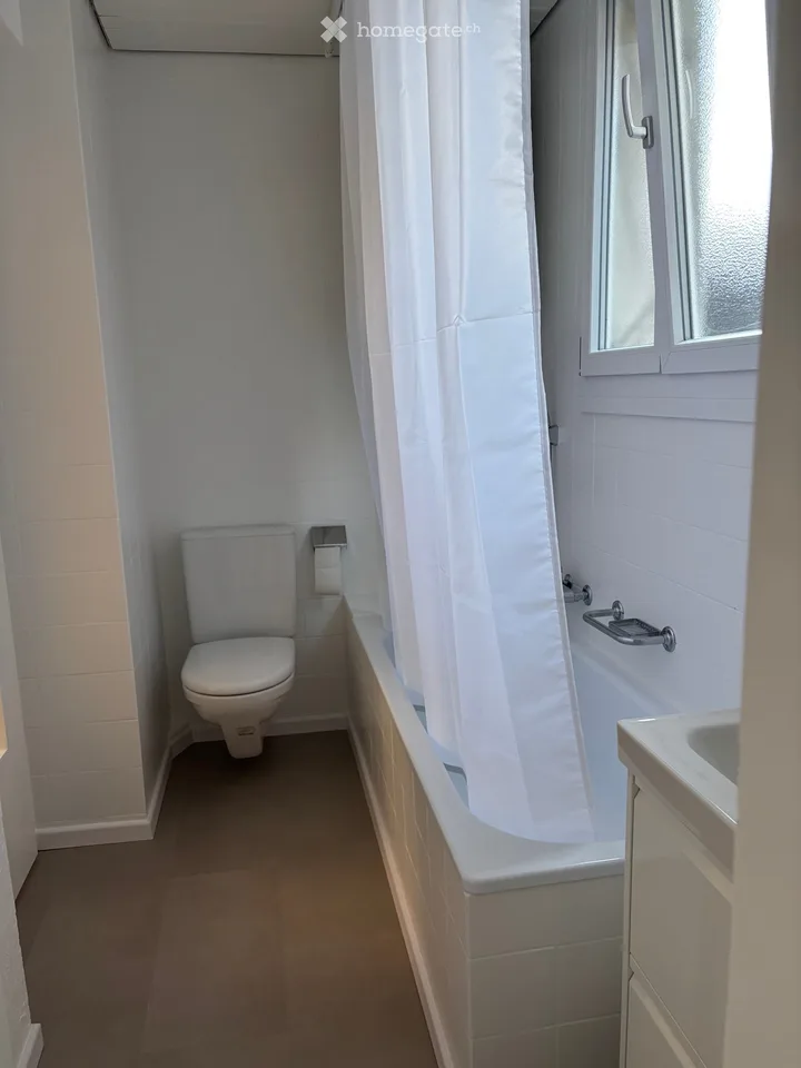Fully renovated 3-room apartment / 80m2