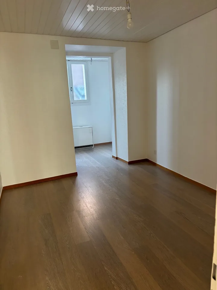 Fully renovated 3-room apartment / 80m2