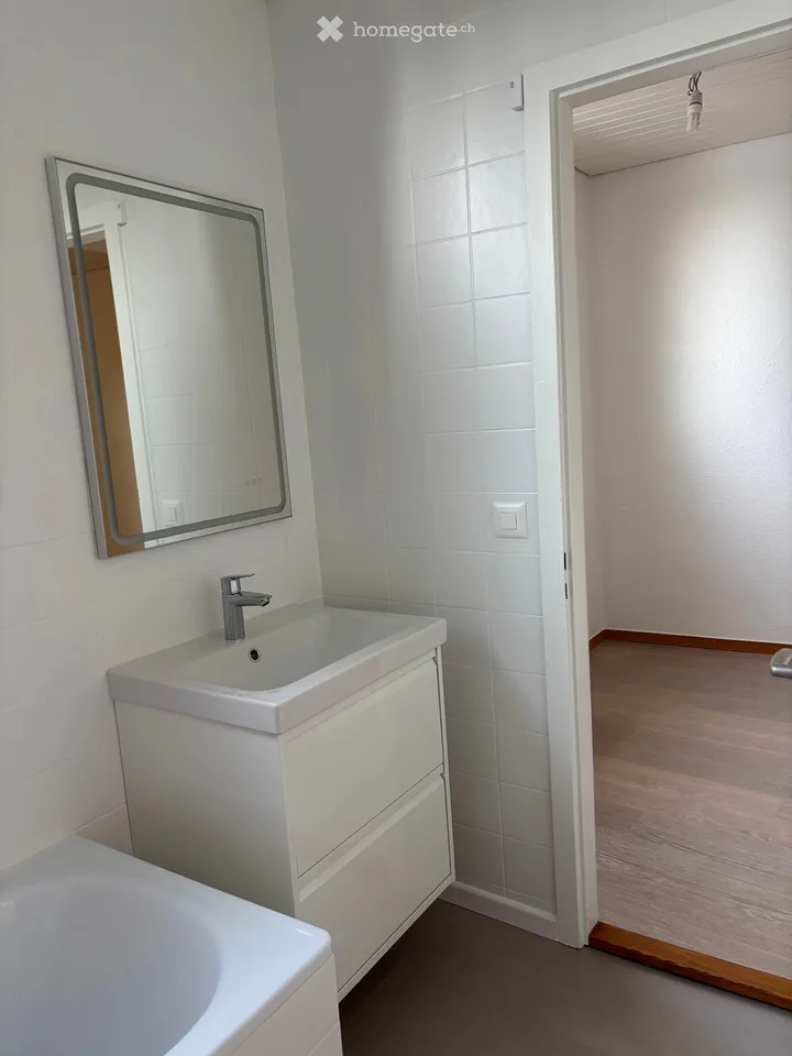 Fully renovated 3-room apartment / 80m2