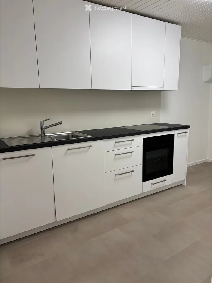 Fully renovated 3-room apartment / 80m2
