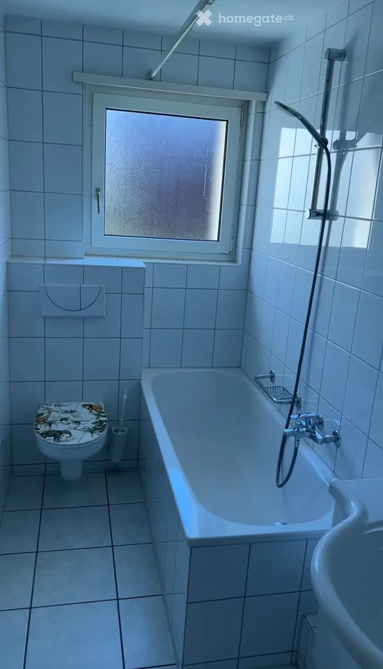 Recherche locataire pour appartement 3 pièces + balcon 4123 Allschwil
