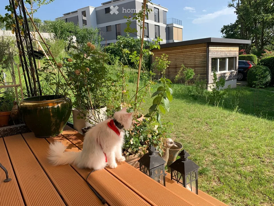 Very beautiful 4-room garden apartment in Zürich-Höngg