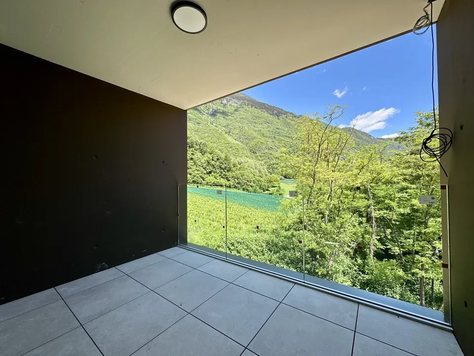 NEW 2.5-ROOM APARTMENT WITH LARGE TERRACE IN LUMINO