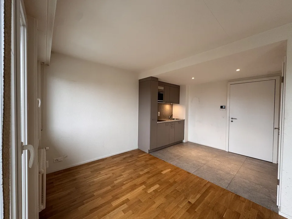 Bright studio with balcony in Paudex