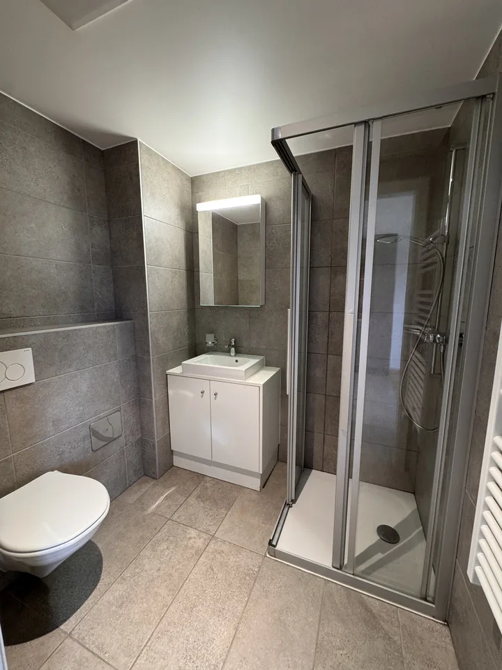 Bright studio with balcony in Paudex