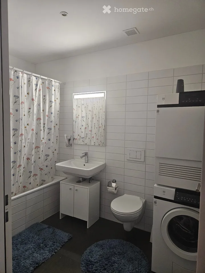 Helle 4.5-Zimmer-Wohnung mit Balkon und Garage in Dietikon