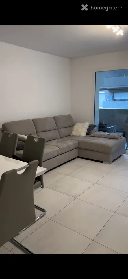 Gesucht: Apartment 2,5 Zimmer zur Miete in Castione
