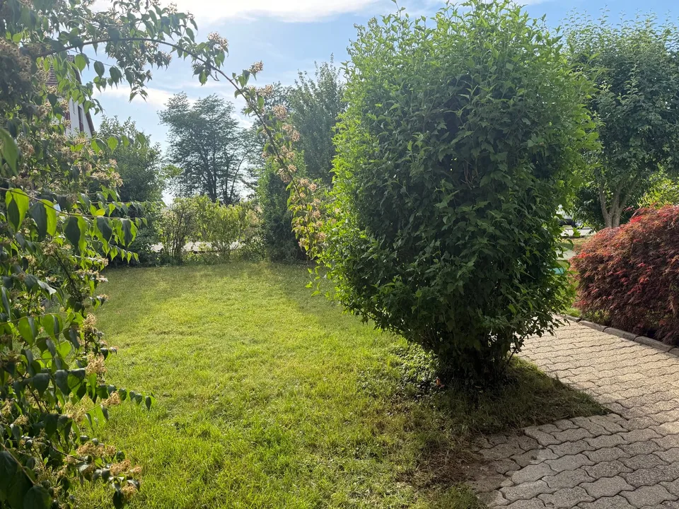 Sunny 4.5 room row house with 2 gardens & EHP