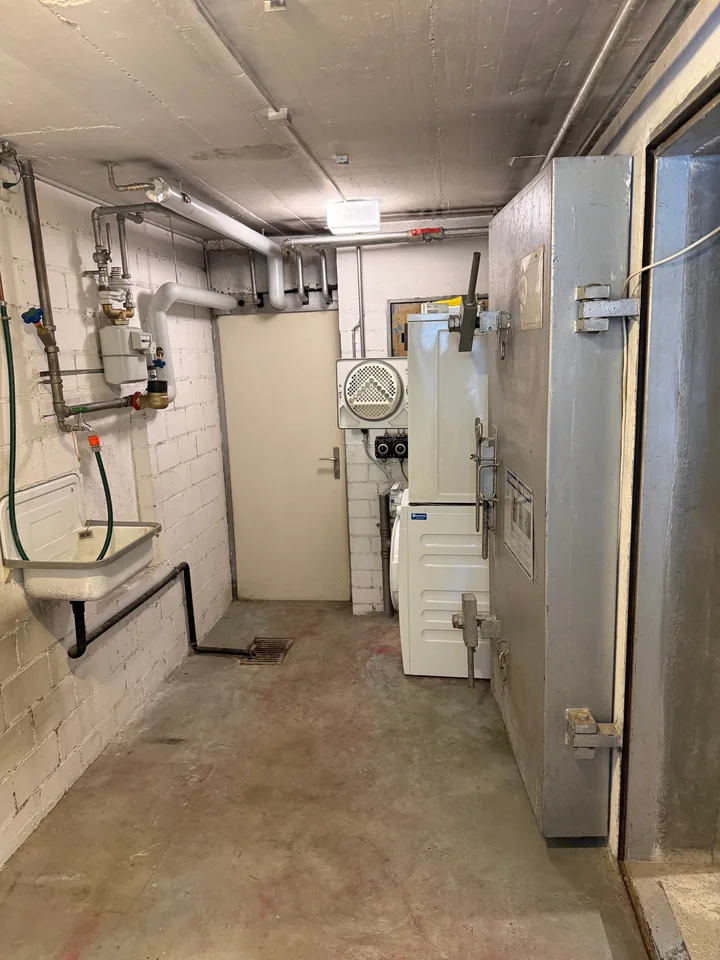 Sunny 4.5 room row house with 2 gardens & EHP