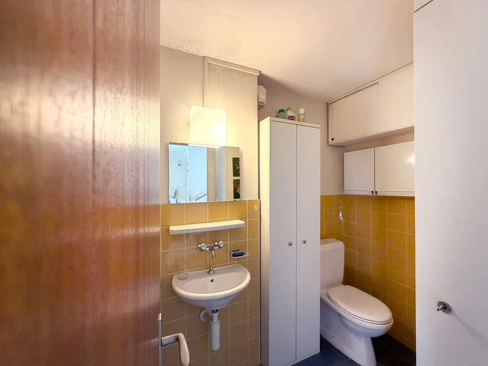 Sunny 4.5 room row house with 2 gardens & EHP