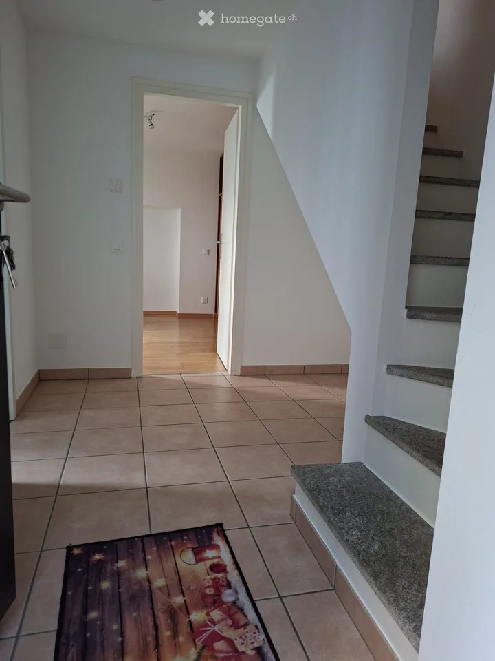 Charming apartment with lake view in Brissago