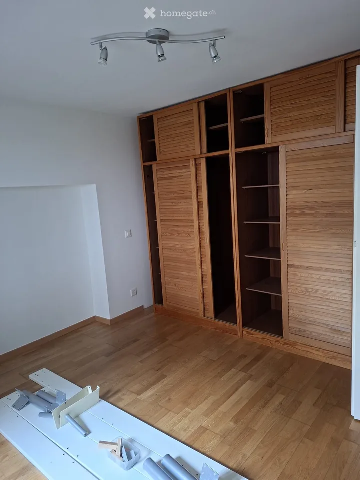 Charming apartment with lake view in Brissago