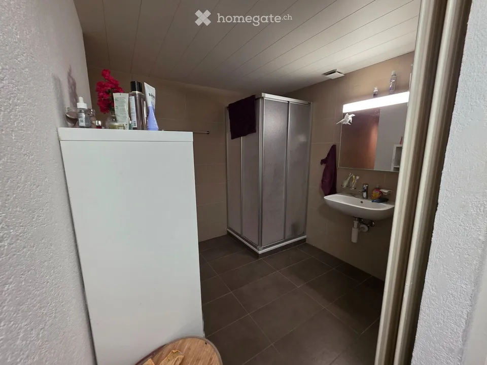 Apartment with 4.5 rooms for rent in Buttes