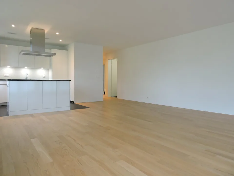 Moderne Wohnung in Goldau