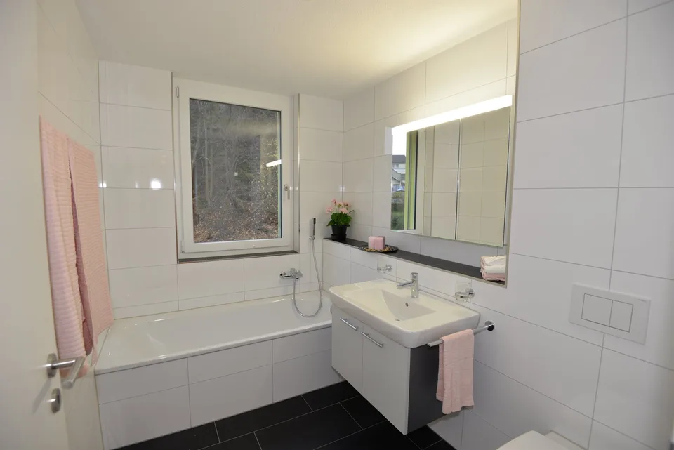 Moderne Wohnung in Goldau