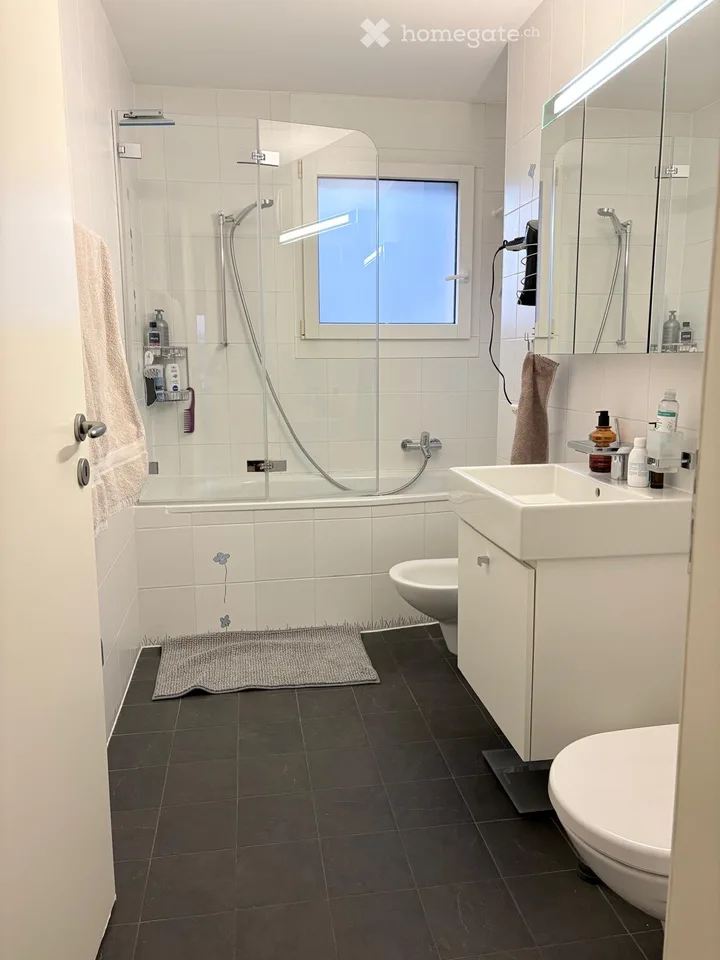 Charmantes 4.5-Zimmer-Wohnung mit großem Balkon und nur wenige Schritte vom See entfernt
