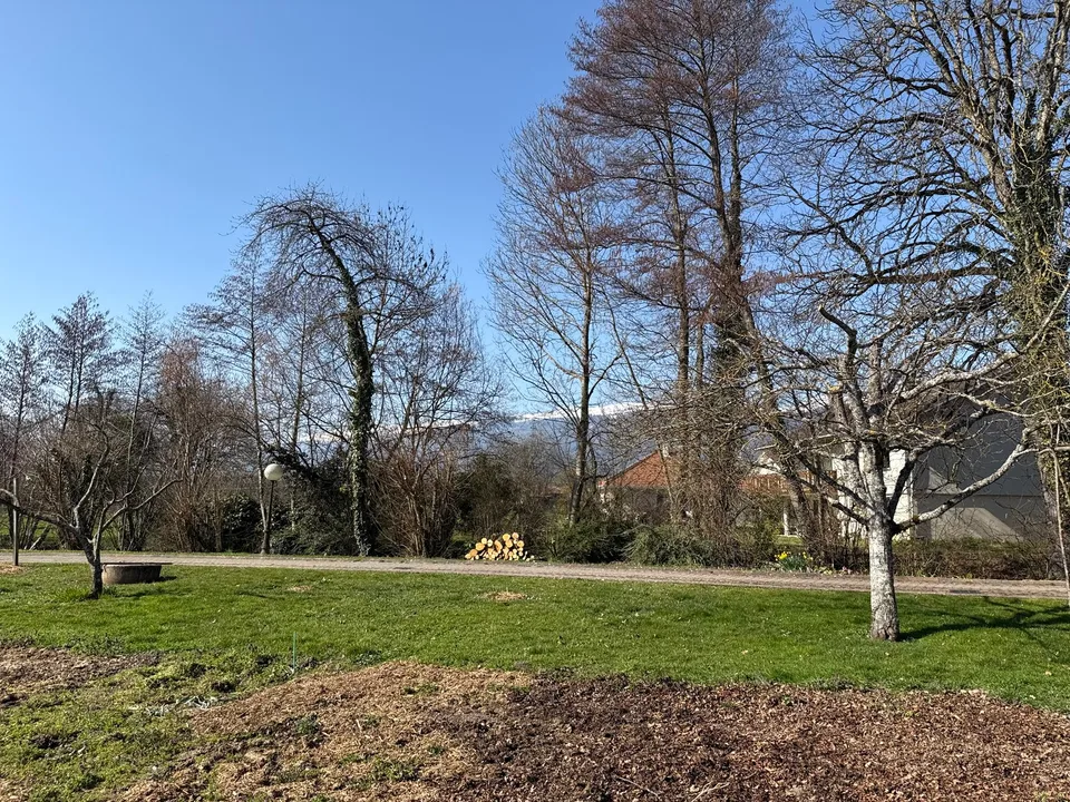 Terrain à bâtir