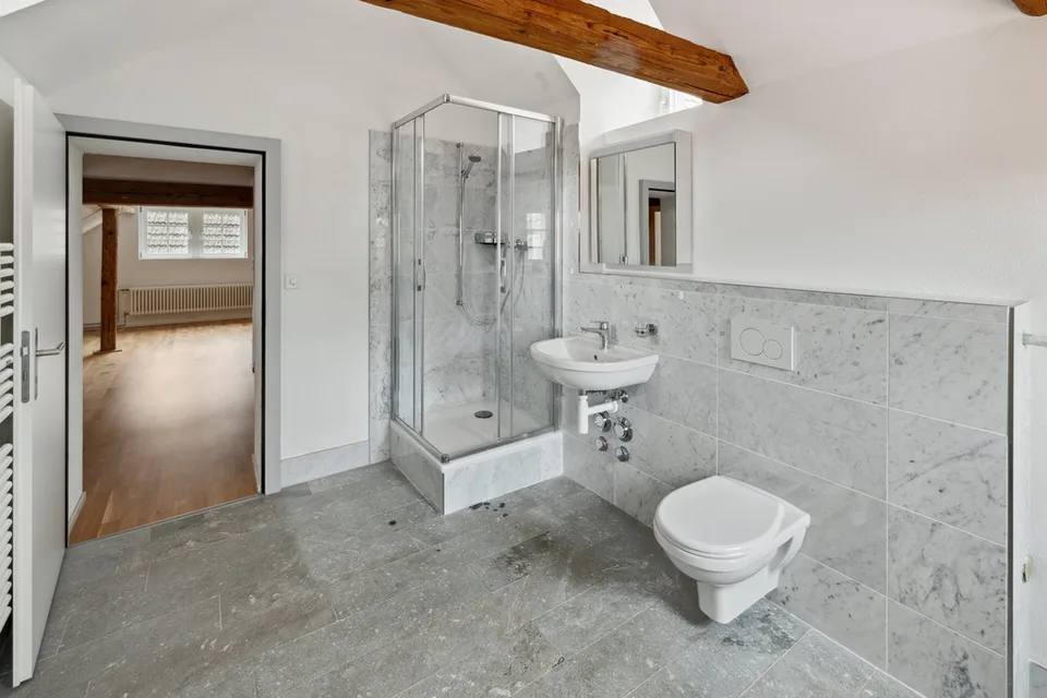 Charme du vieux bâtiment rencontre le luxe : Appartement de 2,5 pièces rénové à louer !