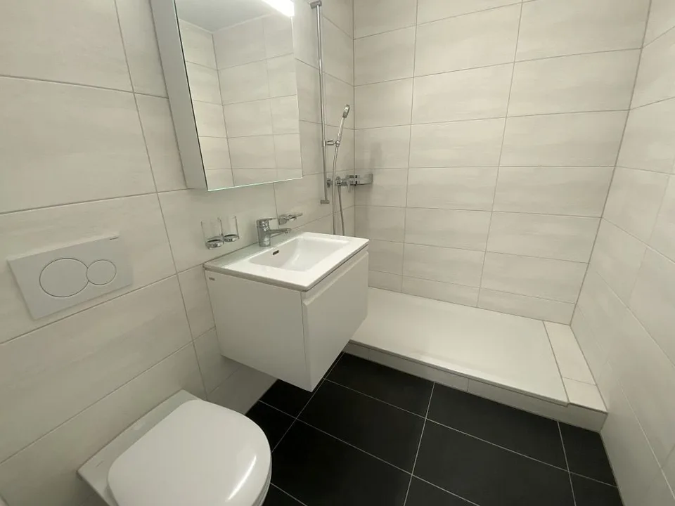 1 1/2-room apartment, 1st floor left