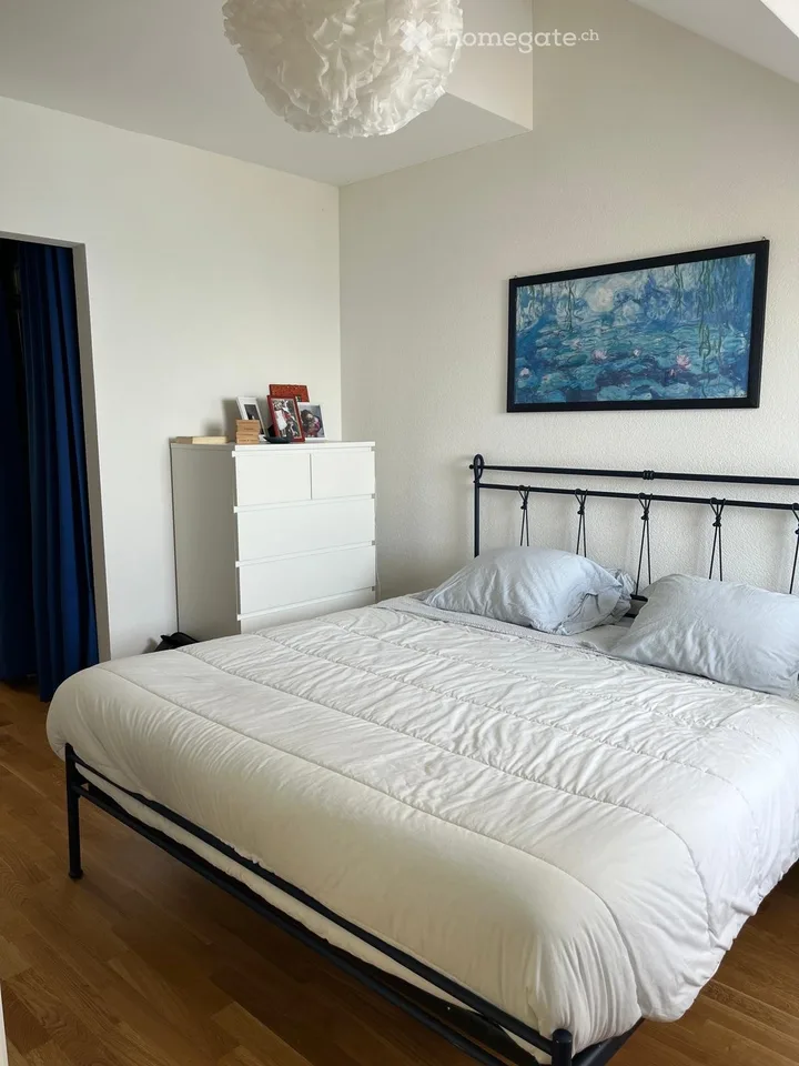 Mansarda con vista lago sul quai di Versoix – 6 locali, terrazza, box, panoramica e centrale