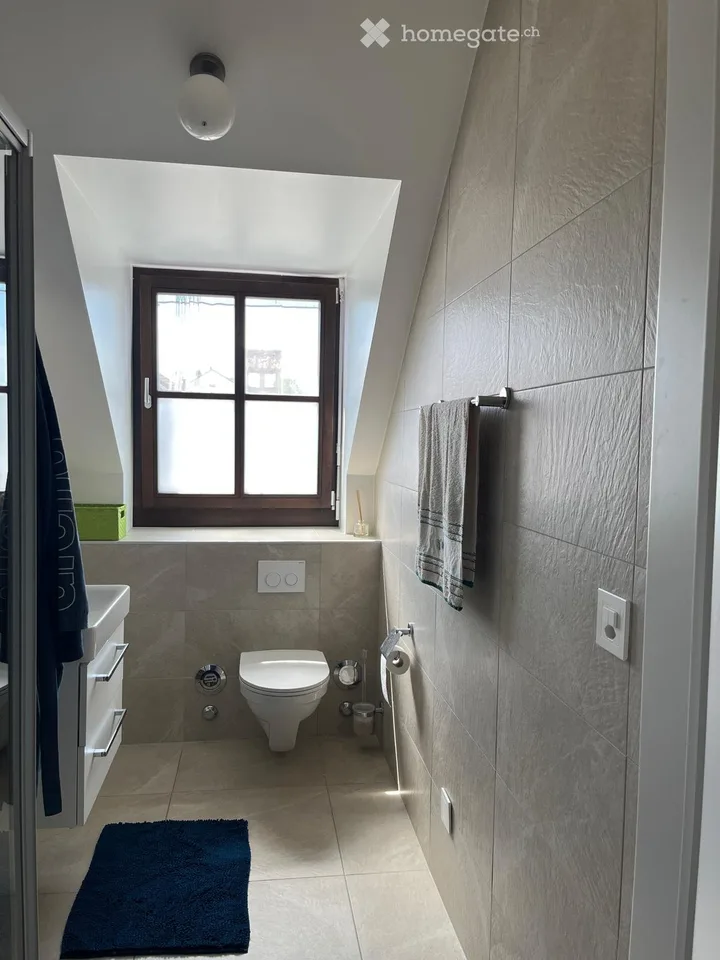 Mansarda con vista lago sul quai di Versoix – 6 locali, terrazza, box, panoramica e centrale