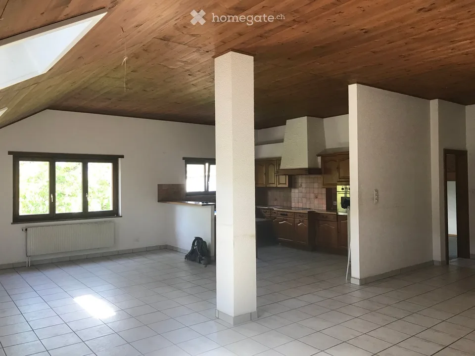 Meraviglioso grande appartamento di 5 locali