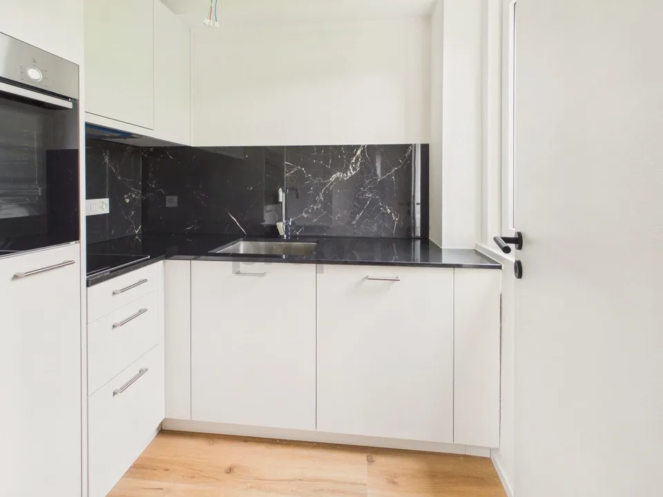 Newly renovated 1.5-room apartment with basement room, Lucerne